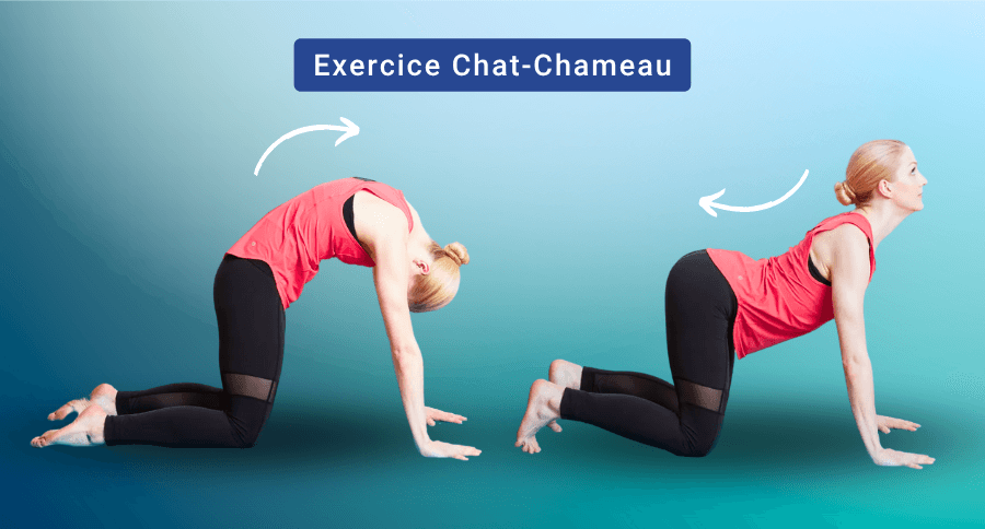 Exercice du Chat et du Chameau