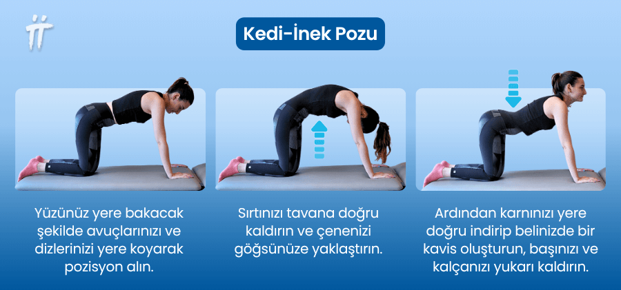Kedi-inek pozu, omurlar arasındaki hareketliliği artırarak bel ağrısını rahatlatabilir.
